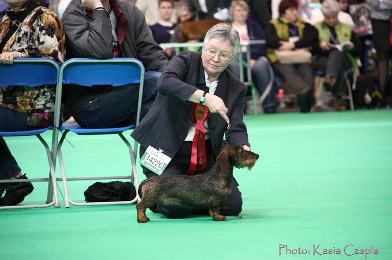 Crufts2011_2 951.jpg